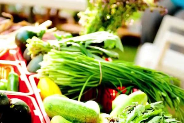 uniquely utah farm to table food